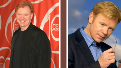 David Caruso Net Worth: Salary, Career Success and Personal Life