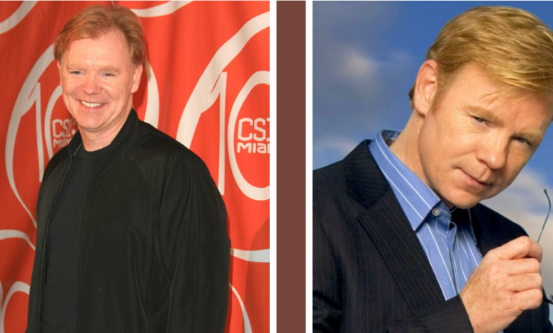 David Caruso Net Worth: Salary, Career Success and Personal Life